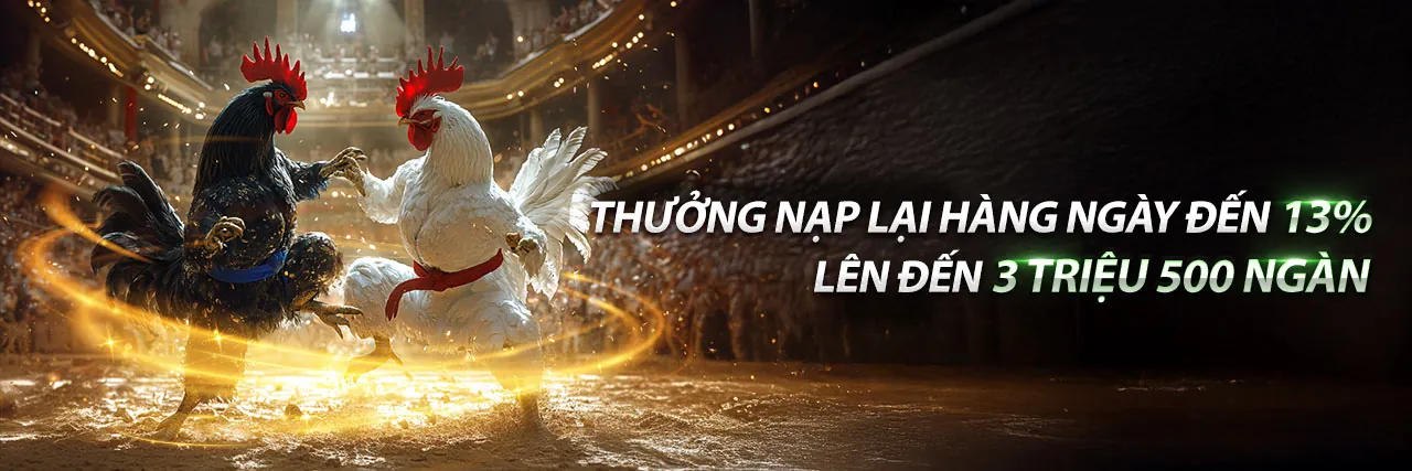 Đá gà trực tuyến Dwin Link Vào 2026 với những trận đấu kịch tính
